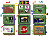 KID'S ZOO A BABY ANIMAL ADVENTURE +1Clk Windows 11 10 8 7 Vista XP Install