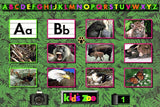 KID'S ZOO A BABY ANIMAL ADVENTURE +1Clk Windows 11 10 8 7 Vista XP Install